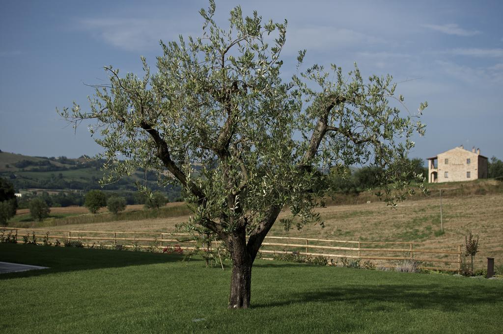 Moresco Agriturismo Eksteriør bilde
