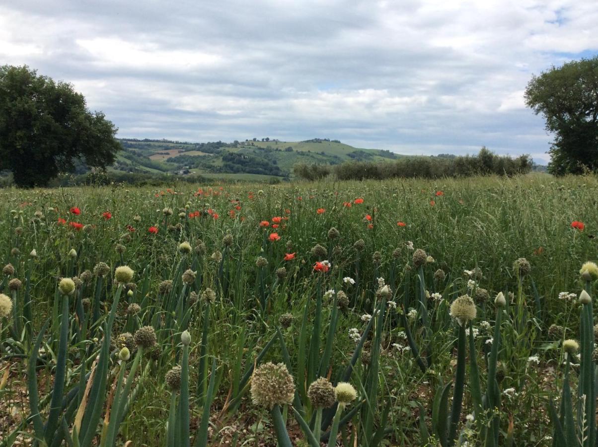 Moresco Agriturismo Eksteriør bilde